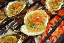 海鲜爆料海鲜视频教程,跟随视频教程轻松掌握海鲜美味 第3张 海鲜爆料海鲜视频教程,跟随视频教程轻松掌握海鲜美味 第3张